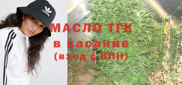 прущие грибы Абинск