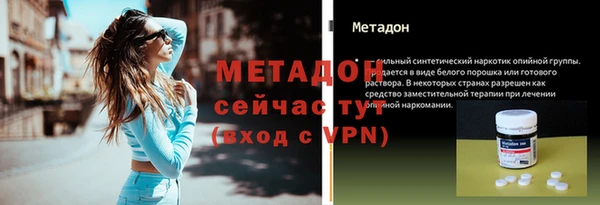прущие грибы Абинск