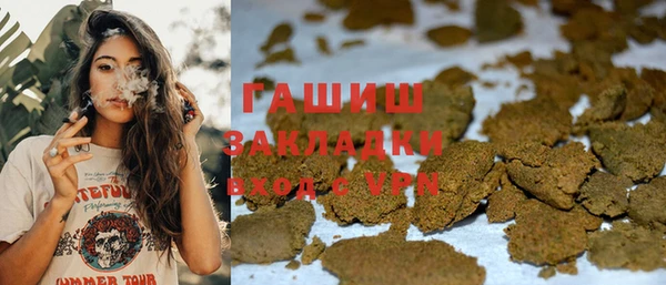 прущие грибы Абинск