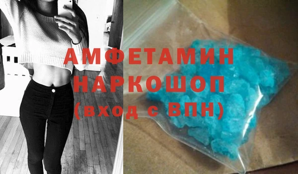 прущие грибы Абинск