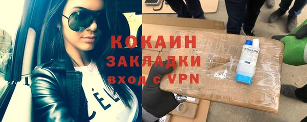 прущие грибы Абинск