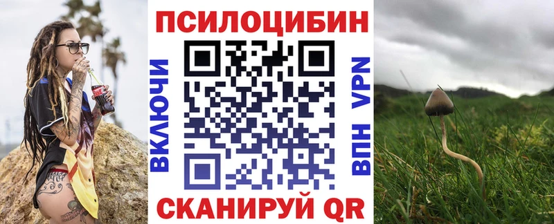 omg зеркало это наркотические препараты Галлюциногенные грибы MAGIC MUSHROOMS Ростов-на-Дону